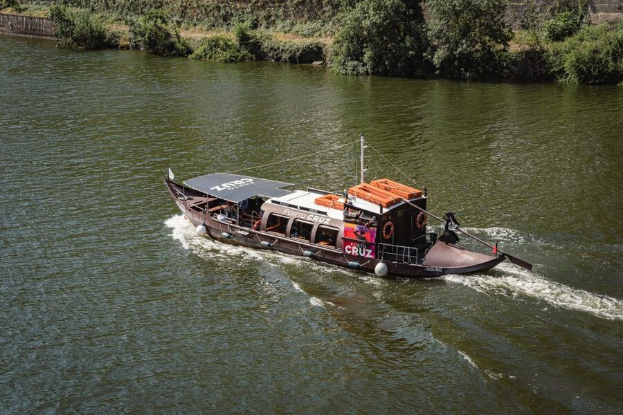 From Pinhão: Douro Valley Rabelo Boat Tour with Audio Guide - Pet-friendly and wheelchair accessible: who this cruise fits best