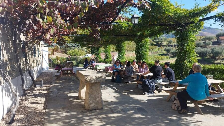 From Pinhão: Douro Valley Tour w/ Wine Tasting and Boat Trip - Comfort and logistics: AC minivan, tight schedule, and what’s included
