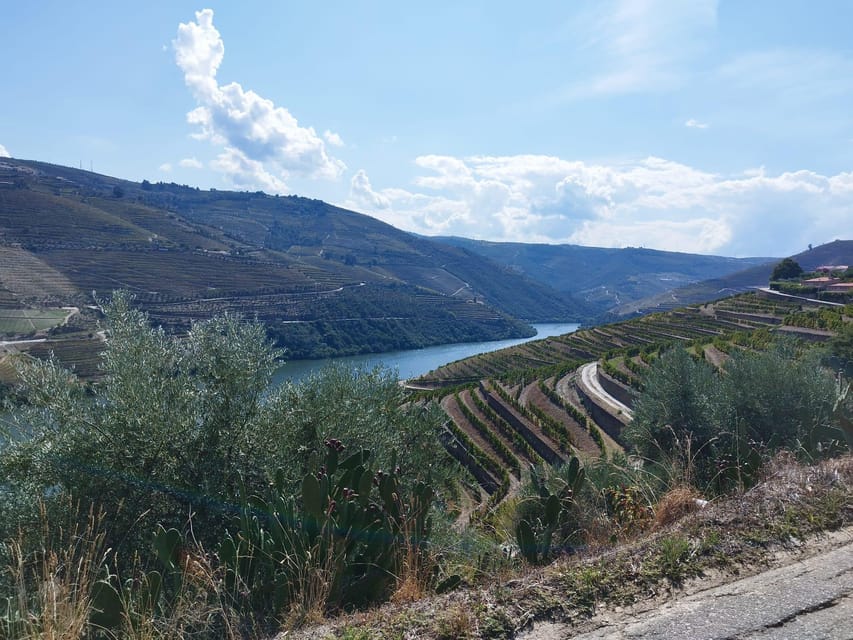 From Pinhão: Douro Valley Tour w/ Wine Tasting and Boat Trip - FAQ