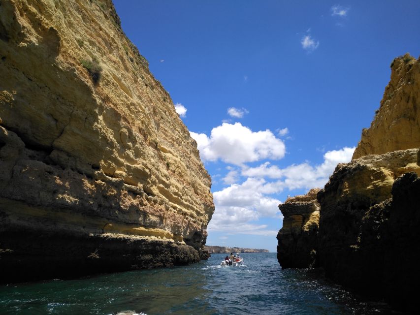 From Portimão: Benagil Caves & Marinha Beach Boat Tour - What to bring: camera, basic planning, and comfort on open water