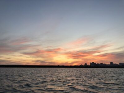 From Portimão: Sunset Boat Trip with Wine - Getting to the marina: gate J, dock 40 at Blue Ocean Trips