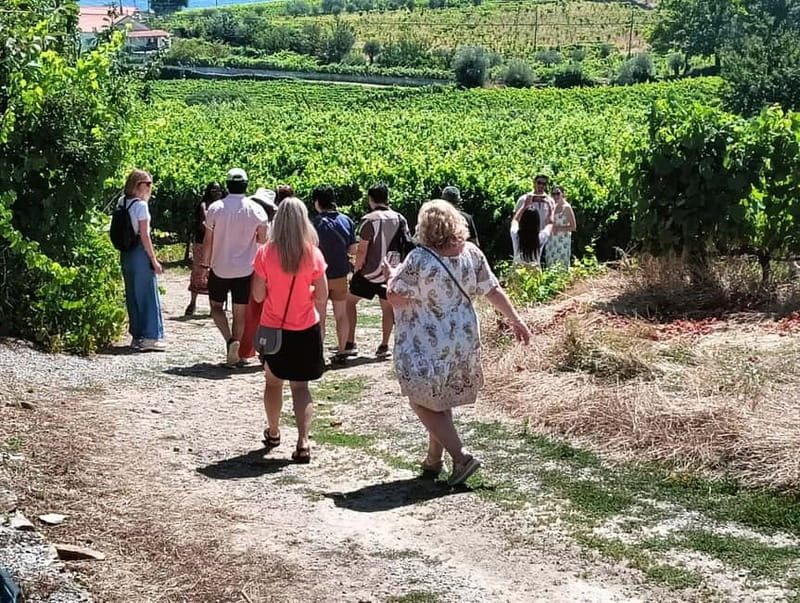 From Porto: 2 Wine Regions, Farm Lunch, and Boat Ride - Key takeaways before you go