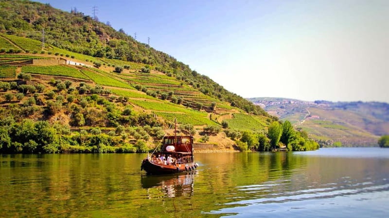 From Porto: 2 Wine Regions, Farm Lunch, and Boat Ride - The ride through Douro: viewpoints that actually matter
