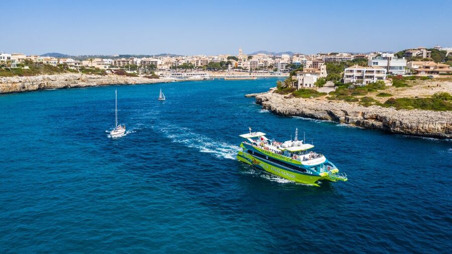 From Porto Cristo: East Coast Glass-Bottom Boat Trip - East Coast Mallorca Glass-Down: What You’ll Actually See Under the Surface