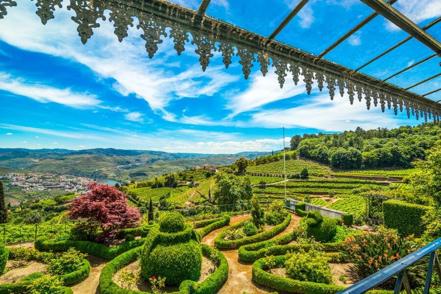 From Porto: Douro Valley w/ Boat Tour, Wine Tasting & Lunch - The second winery visit near Pinhão: Port tastings, guided production talk, and olive oil