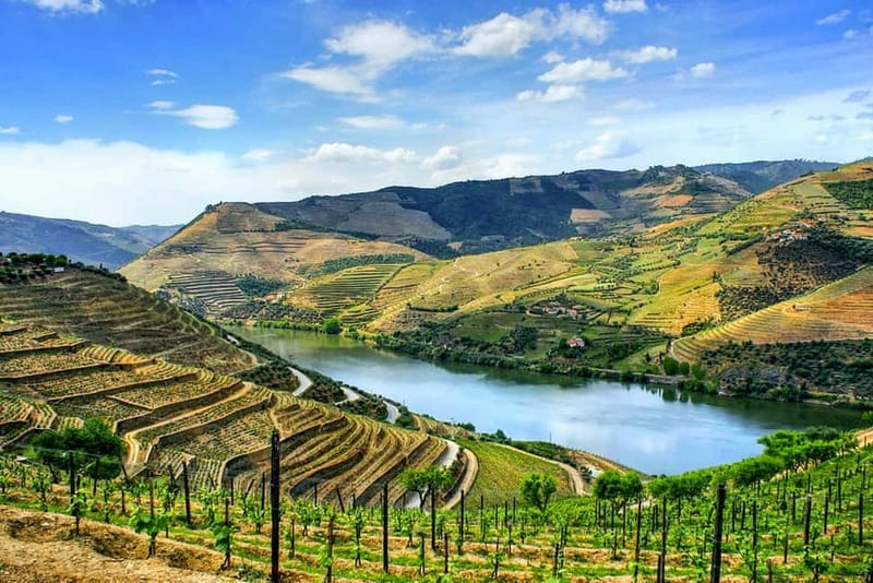 From Porto: Douro Valley with Wineries, Lunch and Boat Trip - Key highlights worth circling