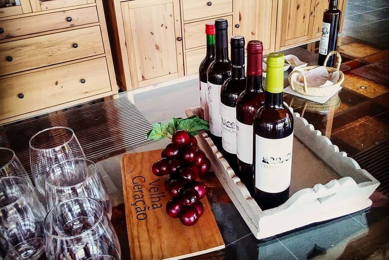 From Porto: Douro Valley with Wineries, Lunch and Boat Trip - Amarante and Peso da Régua: short stops with big scenery payoff