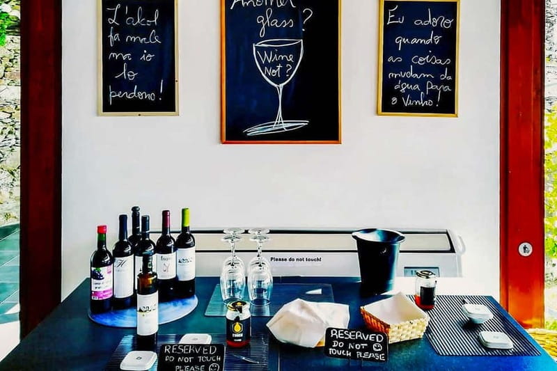 From Porto: Douro Valley with Wineries, Lunch and Boat Trip - The Douro River by boat: the 50-minute reset you’ll thank yourself for