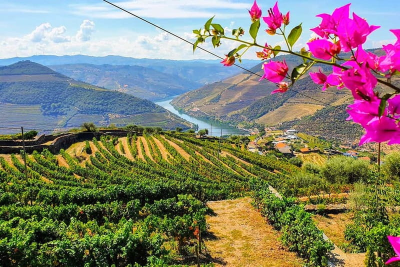 From Porto: Douro Valley with Wineries, Lunch and Boat Trip - Getting started at Igreja da Lapa (and optional hotel pickup)