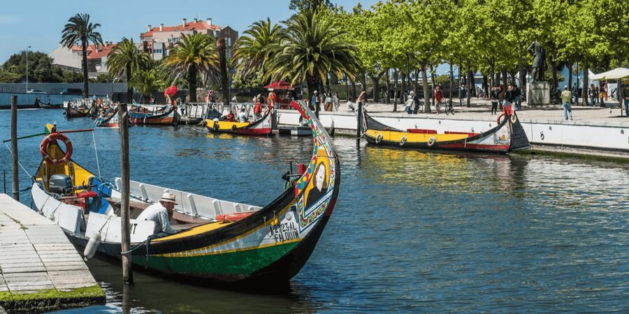 From Porto: Full-Day Trip to Coimbra & Aveiro with Boat Ride - A tidy day that starts in Coimbra, not Aveiro