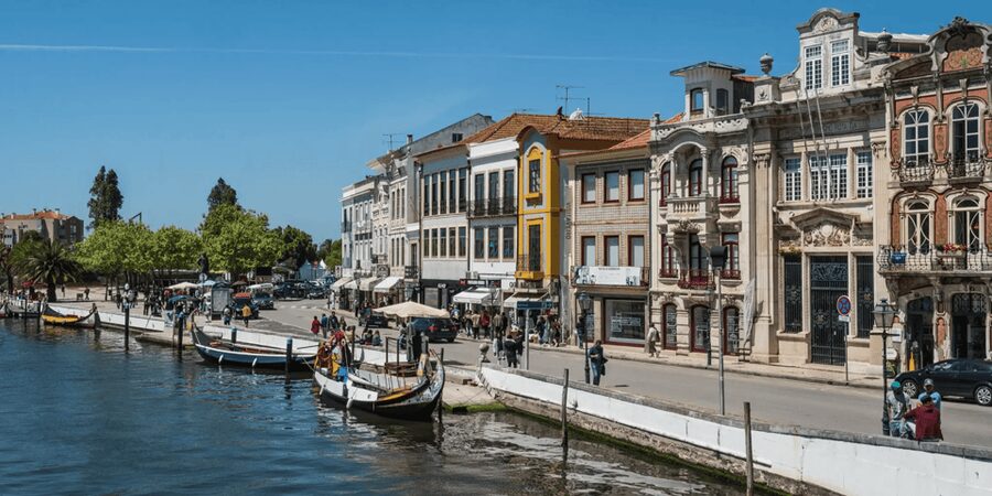 From Porto: Full-Day Trip to Coimbra & Aveiro with Boat Ride - Lunch time in Coimbra: plan for 1.5 hours and go with local options