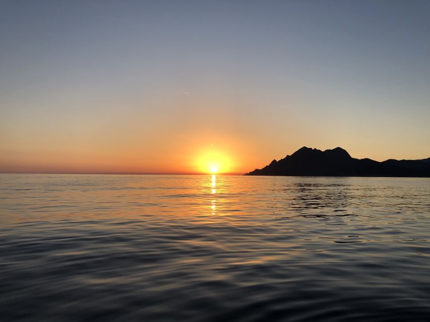 From Porto: Piana Creeks and Scandola Semi-Rigid Boat Tour - Key points I’d pin to your corkboard