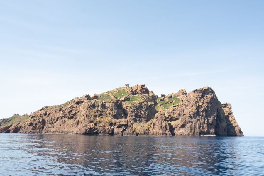 From Porto: Piana Creeks and Scandola Semi-Rigid Boat Tour - Practical tips that make the day easier