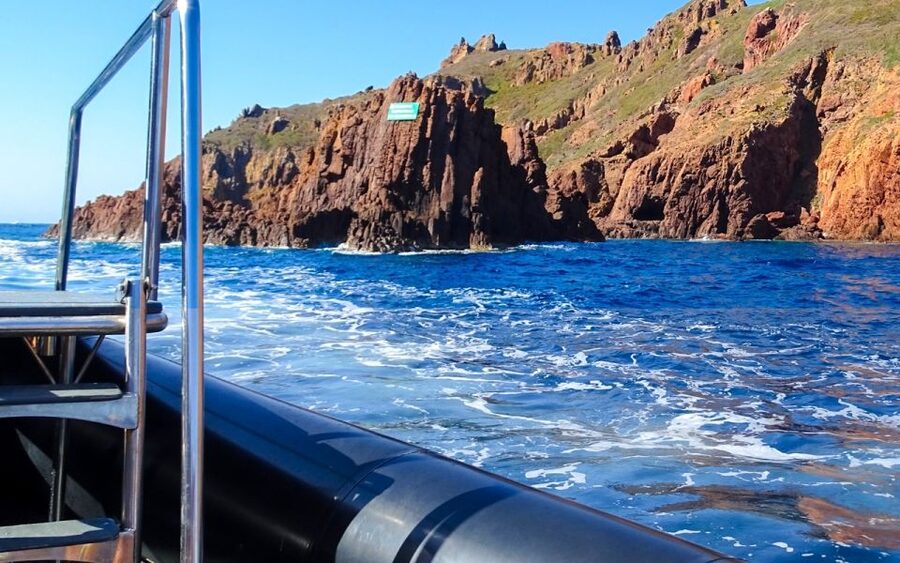 From Porto: Piana Creeks and Scandola Semi-Rigid Boat Tour - Scandola Nature Reserve: UNESCO-worthy views from the sea