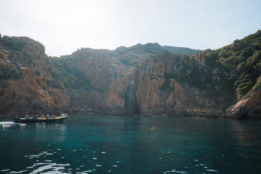From Porto: Piana Creeks and Scandola Semi-Rigid Boat Tour - Sea life plus the swim/snorkel moment: what’s guaranteed vs what’s weather-driven