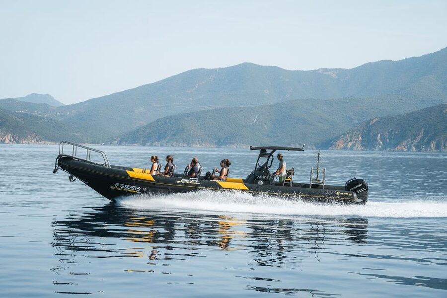From Porto: Piana Creeks and Scandola Semi-Rigid Boat Tour - Boat ride reality check: semi-rigid, small-group feel, and comfort trade-offs