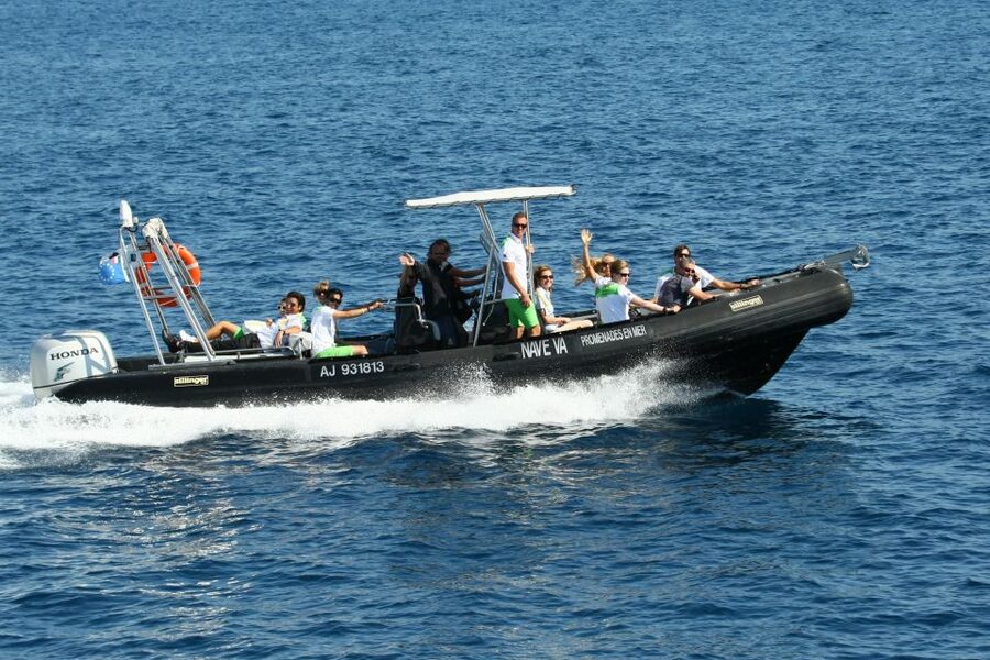 From Porto: Scandola and Calanche de Piana Boat Tour - Key highlights to zero in on