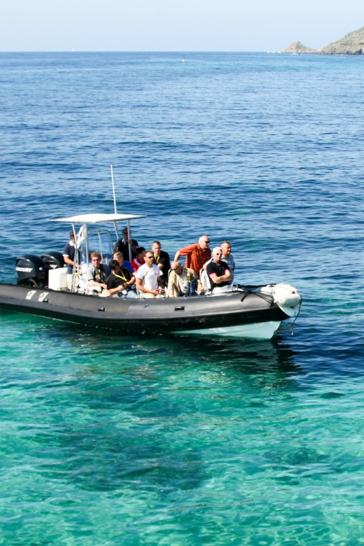 From Porto: Scandola and Calanche de Piana Boat Tour - Getting on board: Nave Va, safety-first, small-group feel