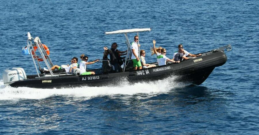 From Porto: Scandola and Calanche de Piana Boat Tour - Scandola Nature Reserve: wildlife spotting with real focus