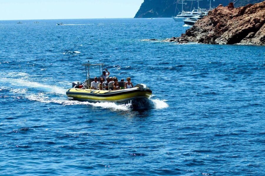 From Porto: Scandola and Calanche de Piana Boat Tour - Should you book the Scandola and Calanche de Piana boat tour?
