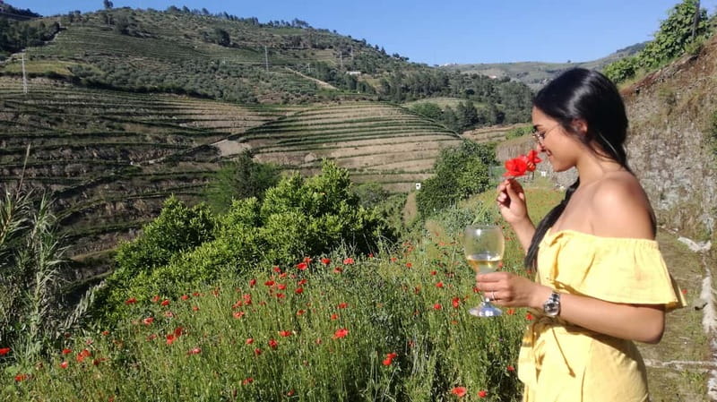 From Porto: Tastings at 2 Wineries, Chef's Lunch & Boat Tour - Two family wineries: the difference between tasting and learning