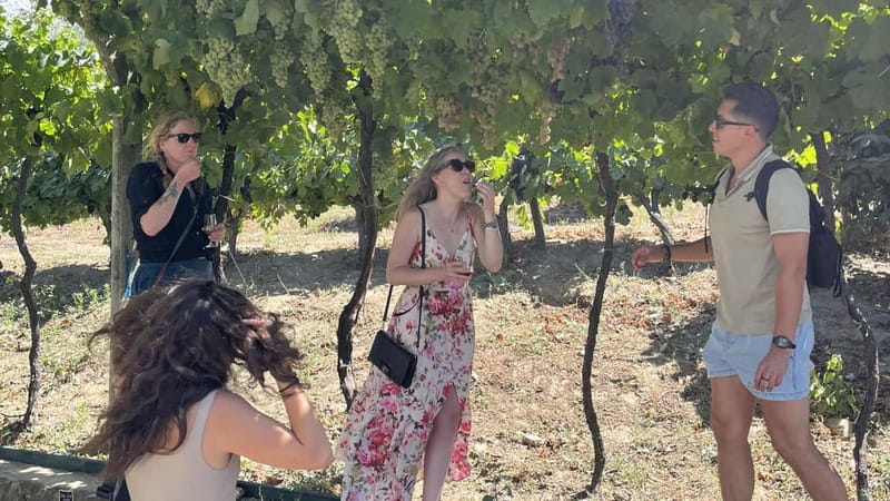 From Porto: Tastings at 2 Wineries, Chef's Lunch & Boat Tour - The 11 tastings: D.O.C. dry wines, Port styles, and staying curious