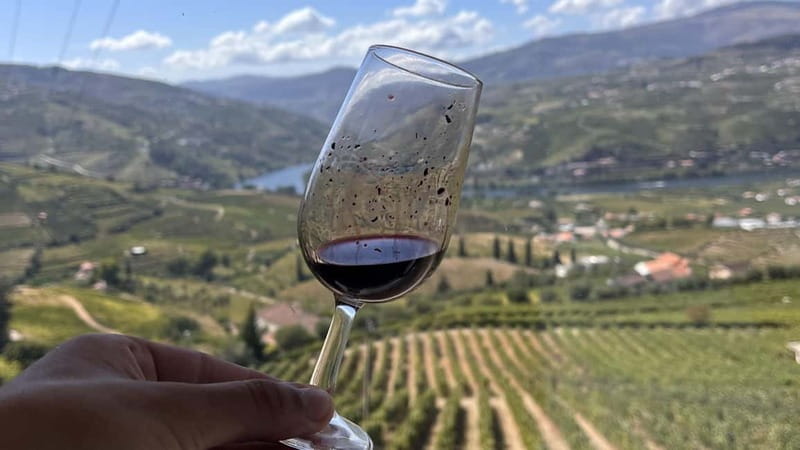 From Porto: Tastings at 2 Wineries, Chef's Lunch & Boat Tour - Lunch at a family Douro estate: farm-to-table food and paired wines