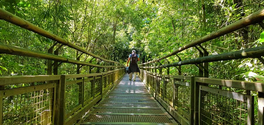 From Puerto Iguazu: Argentinian Iguazu Falls with Boat Ride - Price and Value: What’s Included, What Isn’t, and the Hidden Line Item