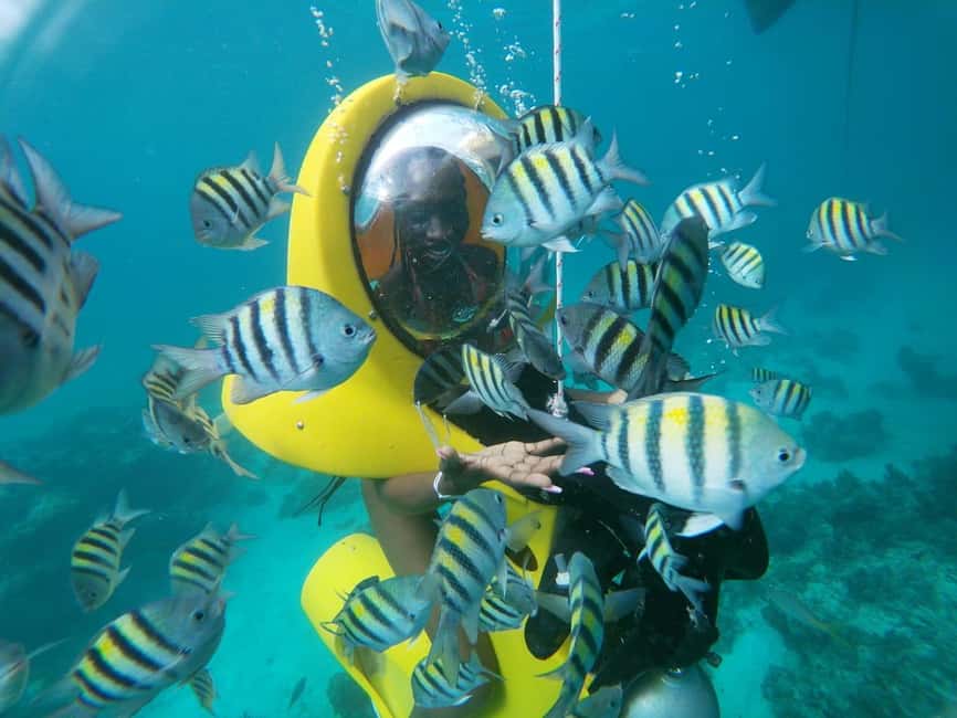 From Punta Cana: ScubaDoo, Snorkel & Glass Bottom Boat Tour - The Underwater Scooters: 15–20 Minutes at 3–5 Meters