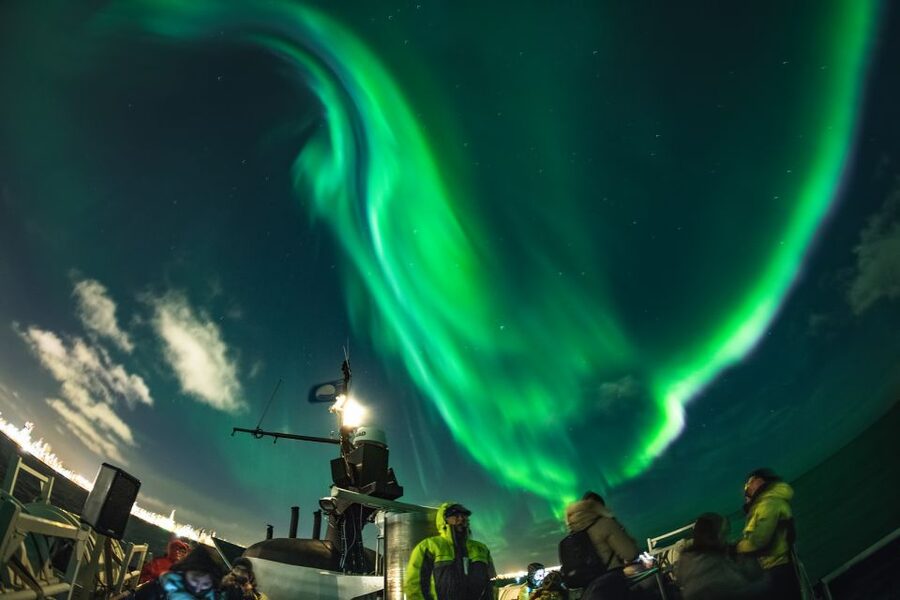 From Reykjavik: Whales and Northern Lights Boat Tour - Weather Reality Check: How to Plan So You Don’t Feel Burned