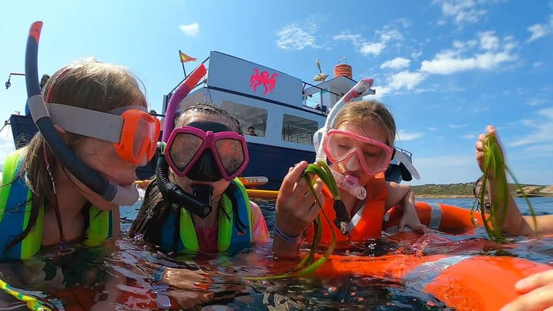 From San Antonio: Family Boat Tour to Conillera Island - Setting sail from San Antonio: where the day starts