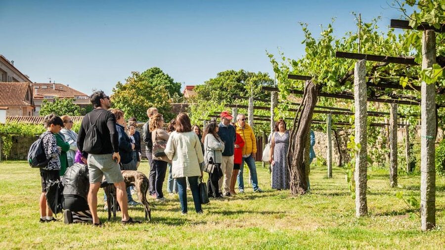 From Santiago: Tour to Rias Baixas with Boat Trip and Winery - Why the Rías Baixas boat cruise is the heart of the day