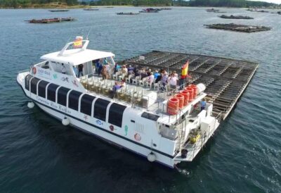 From Santiago: Tour to Rias Baixas with Boat Trip and Winery - From Santiago to the coast: comfortable coach time, smart pacing