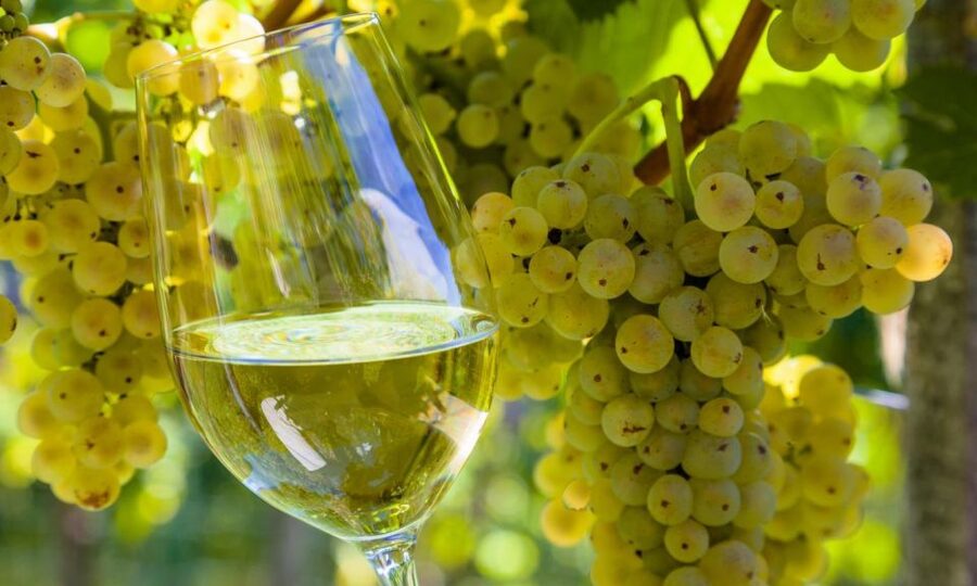 From Santiago: Tour to Rias Baixas with Boat Trip and Winery - O Grove: your long break for sea views and real downtime