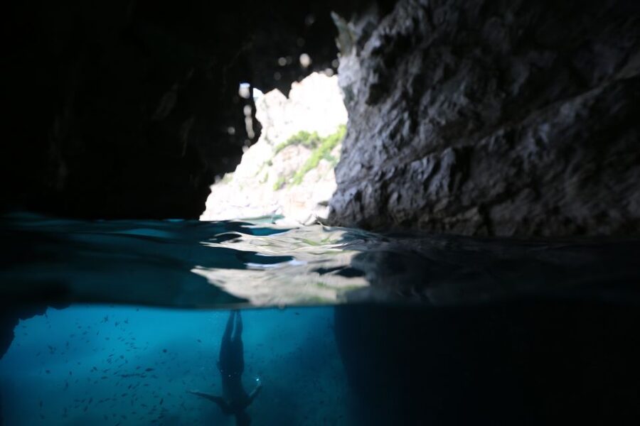 From Sorrento: Capri and Blue Grotto Boat Tour - Price and Value: Is $202.78 Worth It?