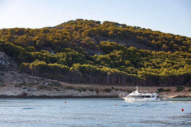 From Trapani: Egadi Islands tour with lunch on board - The Favignana coast cruise and lunch swim stop (around midday)