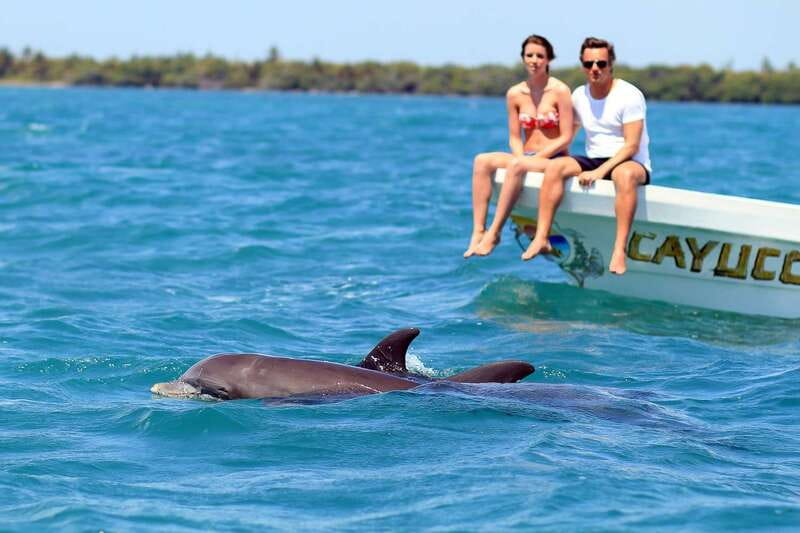 From Tulum: Sian Kaan Boat Trip Adventure with Lunch - Wildlife Viewing in Sian Ka’an Lagoons: 3 Hours of Spotting, Not Speed-Running