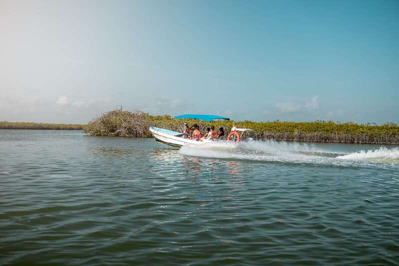 From Tulum: Sian Kaan Boat Trip Adventure with Lunch - Snorkeling the Second-Largest Coral Reef System: What You Can Do If Seas Turn Ugly