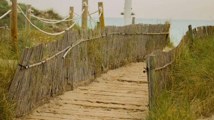From Valencia: Albufera Day Trip with Boat Tour and Transfer - Morning vs afternoon: pick your Albufera mood