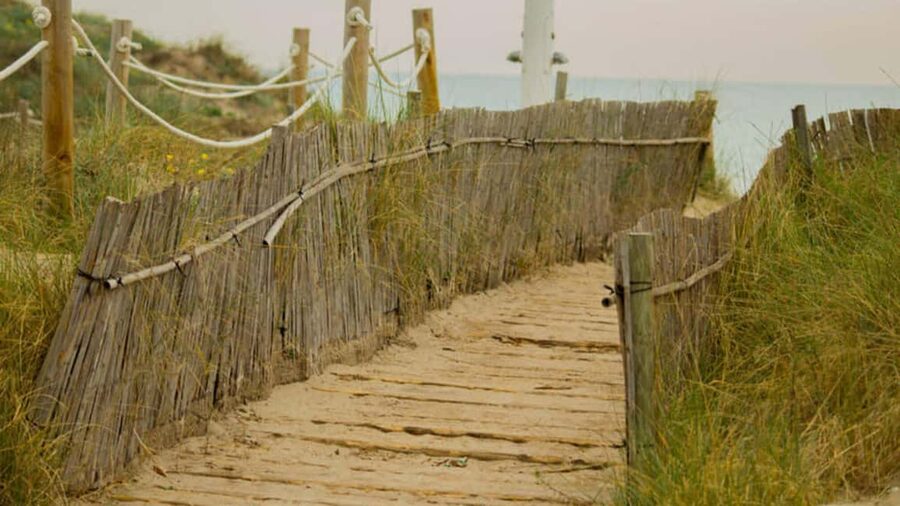From Valencia: Albufera Natural Park Eco Boat Tour & Sunset - Getting to the start: pickup points that don’t waste your morning