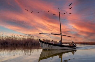 From Valencia: Albufera Natural Park Eco Boat Tour & Sunset - El Saler dunes and the beach-sea feel at the park’s edge
