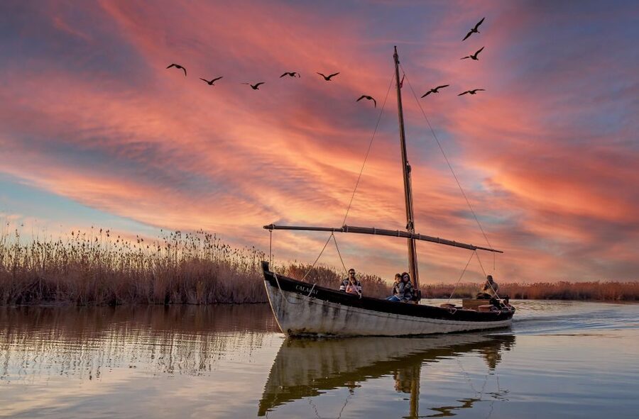 From Valencia: Albufera Natural Park Eco Boat Tour & Sunset - El Saler dunes and the beach-sea feel at the park’s edge