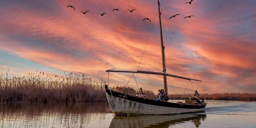 From Valencia: Albufera Natural Park with Sunset Boat Tour - The guided nature walk: wetland views, not just a stroll