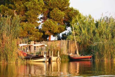 From Valencia: Albufera Natural Park with Sunset Boat Tour - The ride out of Valencia: fast access, no guesswork