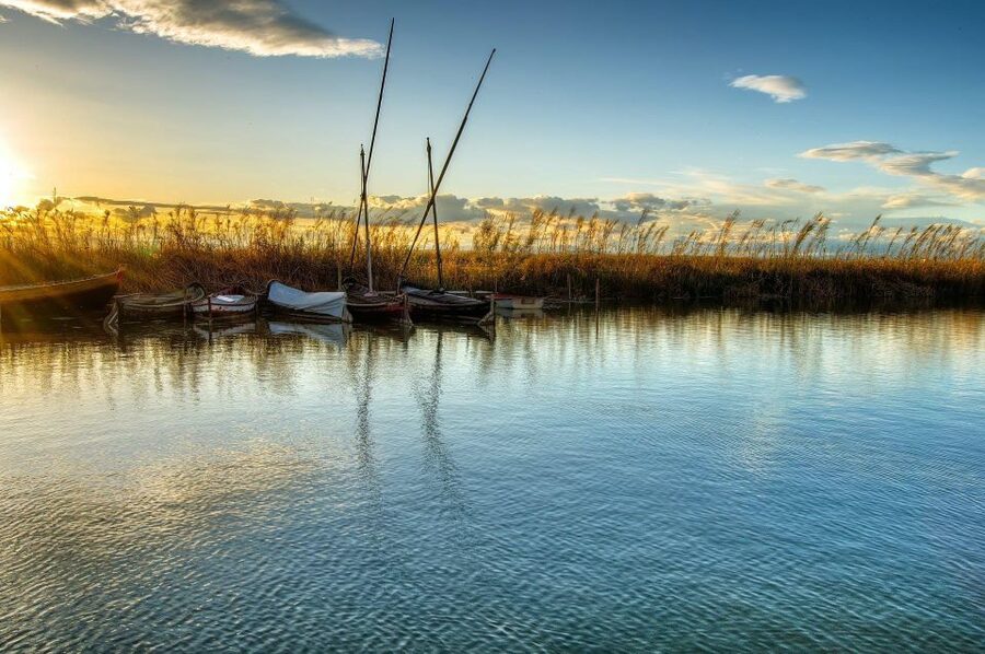 From Valencia: Albufera Natural Park with Sunset Boat Tour - The boat part: calm lagoon water and a sunset that feels close