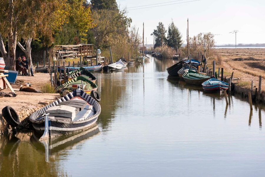 From Valencia: Albufera Natural Park with Sunset Boat Tour - What you’ll learn from the guide (and why it matters)
