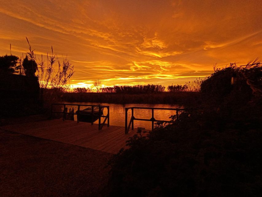 From Valencia: Albufera Natural Park with Sunset Boat Tour - Timing, pace, and weather: the tour’s one real variable