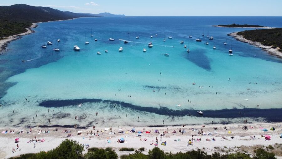From Zadar: Full-Day Boat Trip to Sakarun Beach & Dugi Otok - Who this Zadar to Sakarun day trip suits best