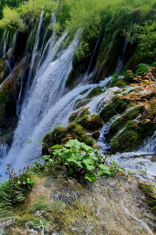 From Zadar: Plitvice Lakes Day Trip with Guide and Boat Tour - Key highlights worth planning around
