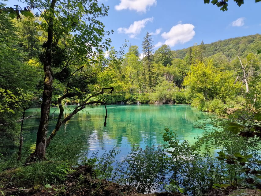 From Zadar: Plitvice Lakes Day Trip with Guide and Boat Tour - Route B vs Route C: choose your walking level before you start